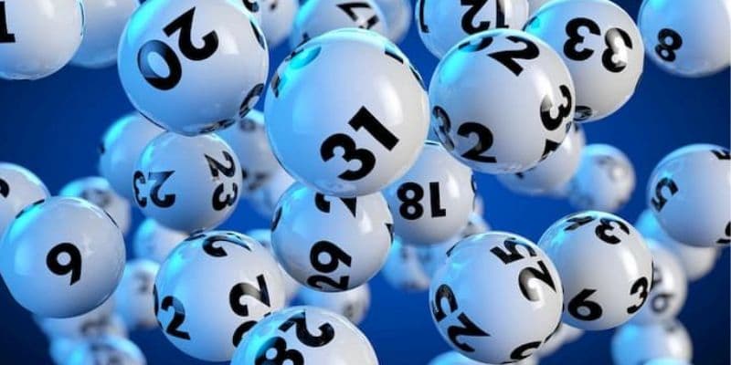 Bạch thủ lô kép Bạch thủ lô kép trong các bước phân tích